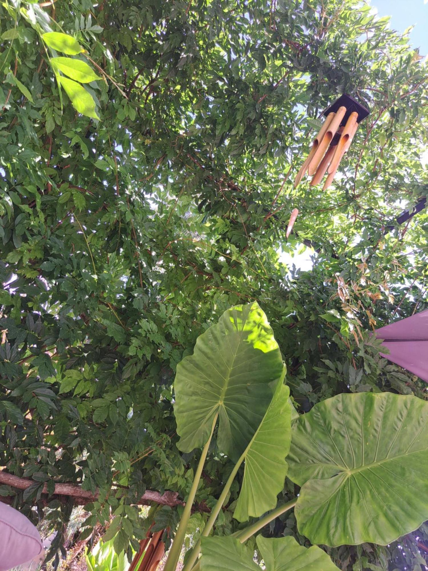 La Tropezienne Castera-Verduzan Bagian luar foto