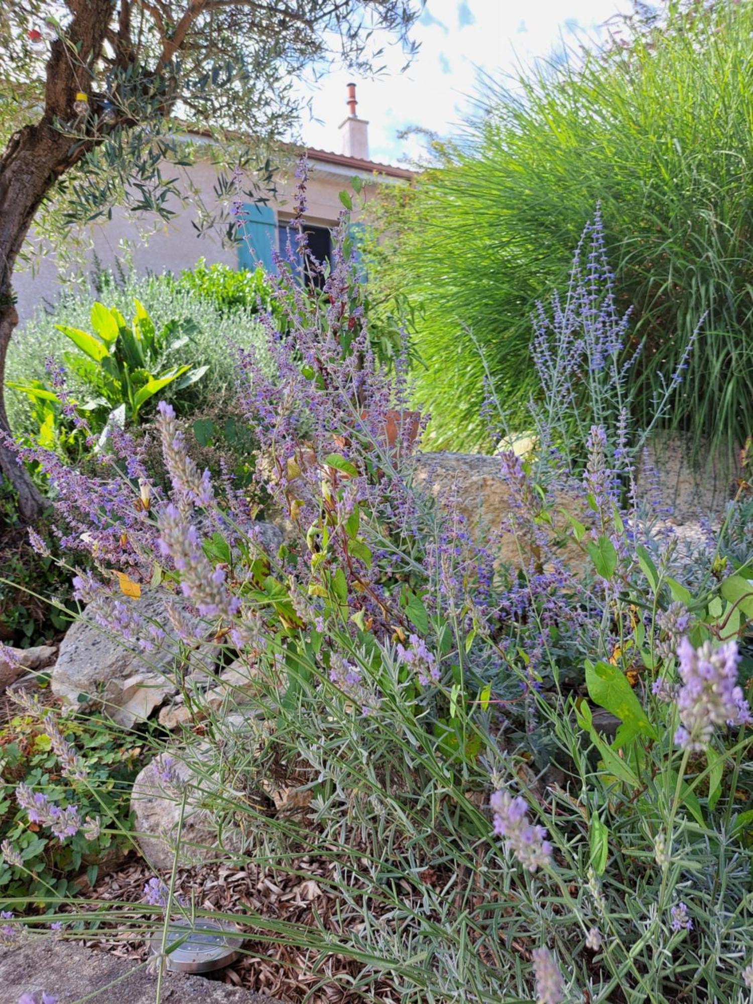 La Tropezienne Castera-Verduzan Bagian luar foto